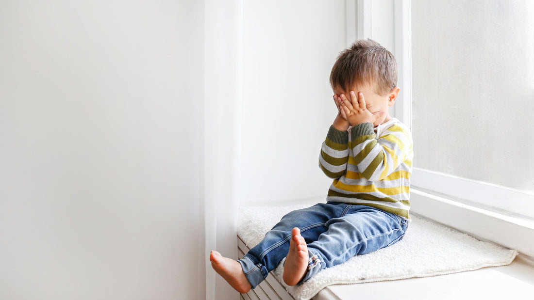 Nurturing Toddlers Through Divorce